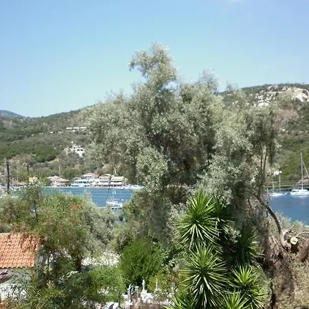 μπουκαμβίλια - Bougainvillea Sivota (Lefkada)