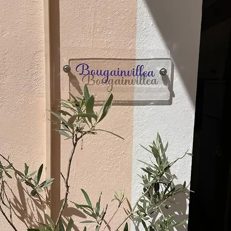 μπουκαμβίλια - Bougainvillea شقة *
